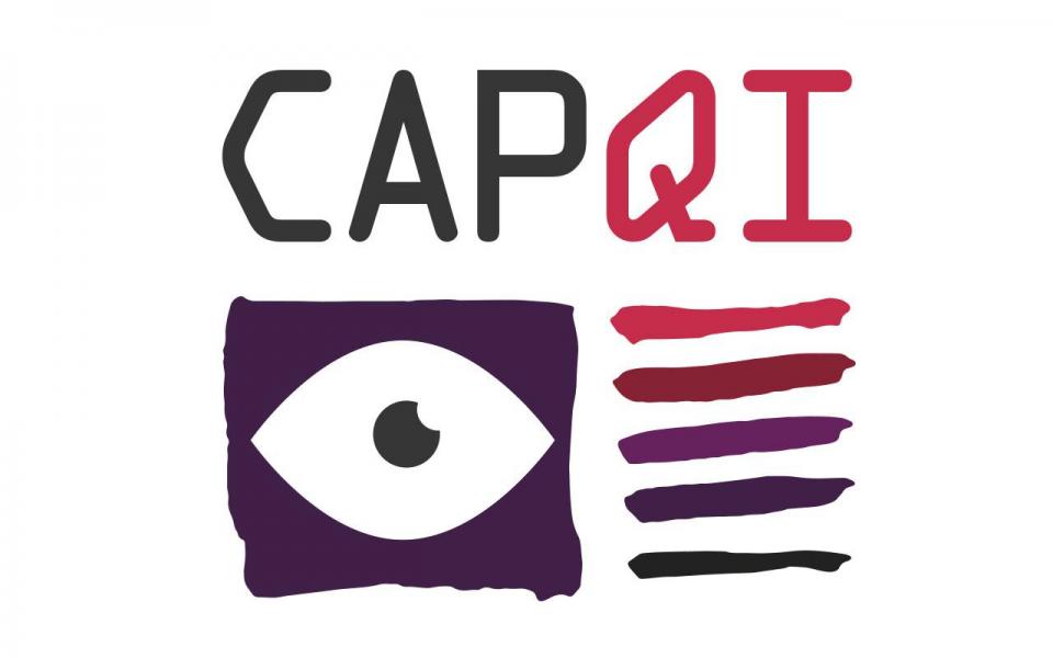 CAPQI project promotional video on quality internships