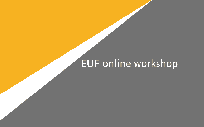 EUF Workshop cycle: project application preparation