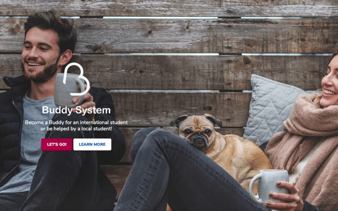 Buddy System Webinar