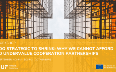 Too strategic to shrink: Why we cannot afford to undervalue Cooperation Partnerships?