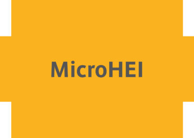MicroHEI