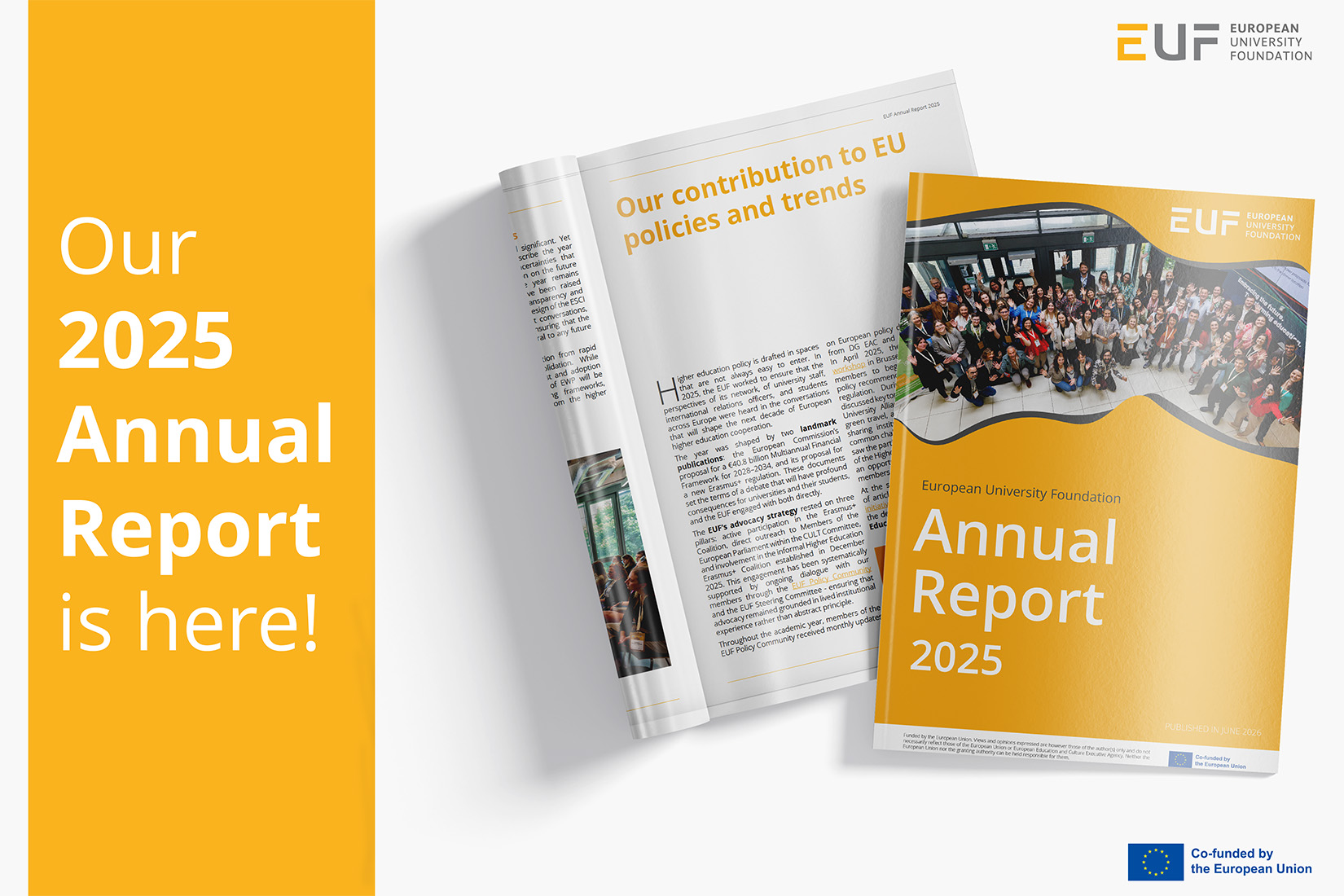 EUF Annual Report 2025 Article banner