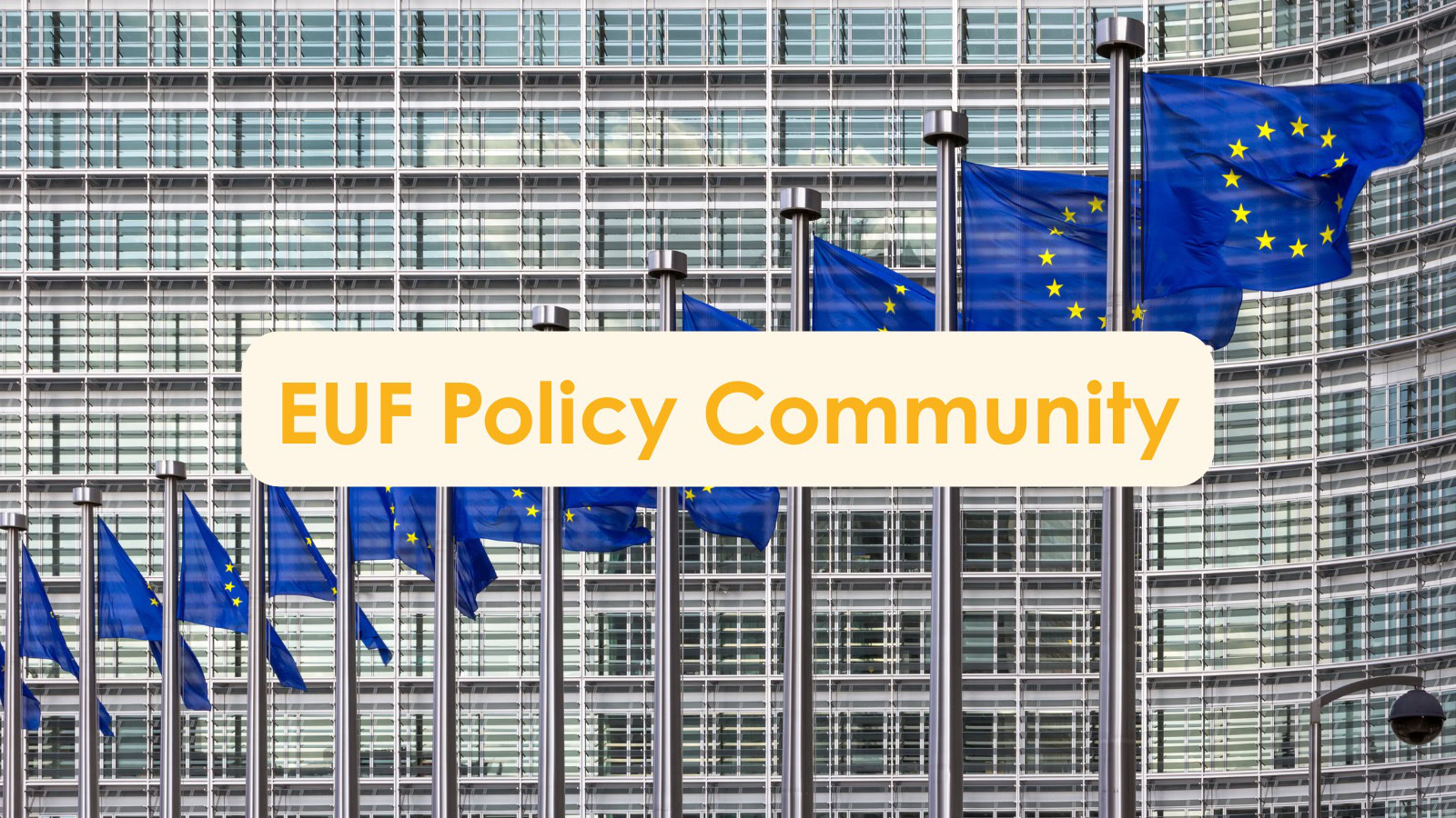 Policy community